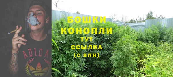 СК Абинск