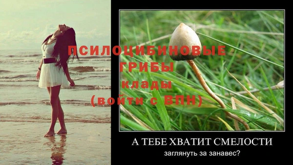 a pvp Абаза