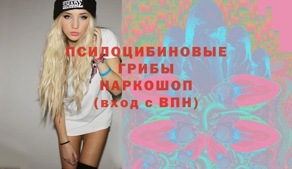СК Абинск