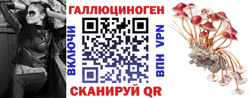 Галлюциногенные грибы Cubensis  Казань 